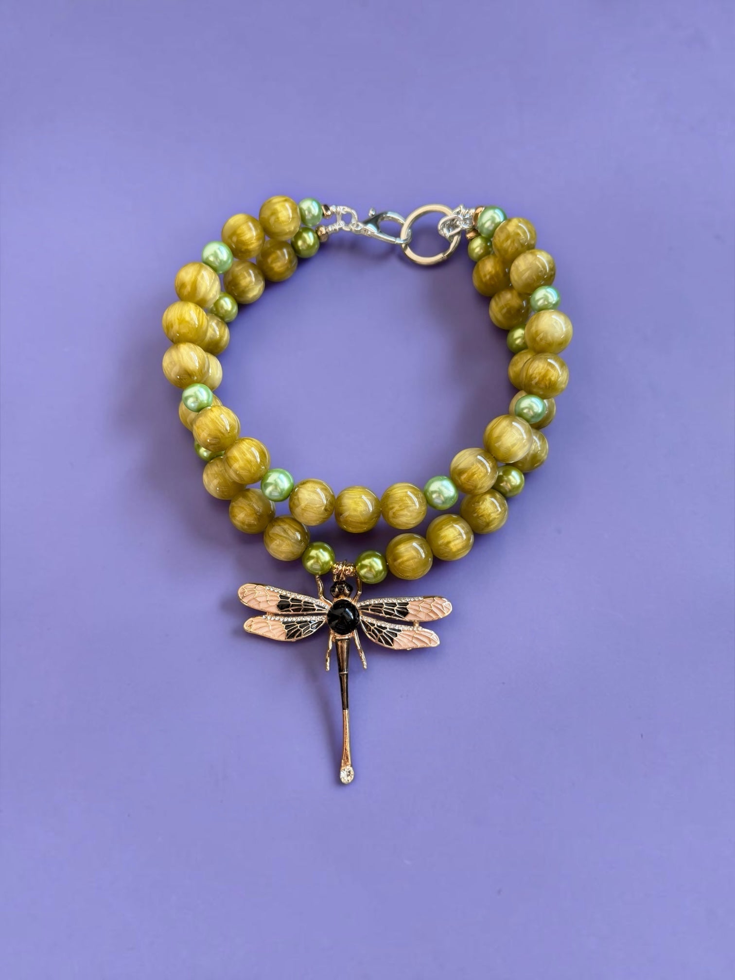 Collar Ivy